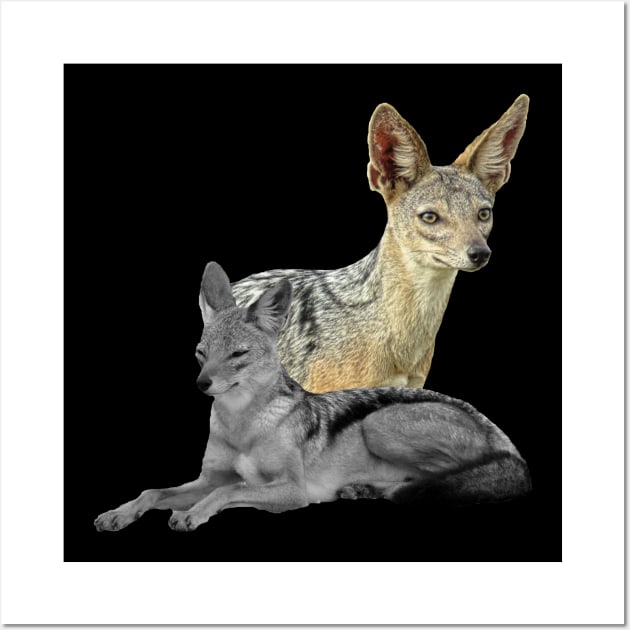 Jackal in Kenya / Africa Wall Art by T-SHIRTS UND MEHR